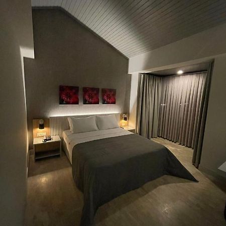 Ariel Hotel 阿拉恰特 外观 照片