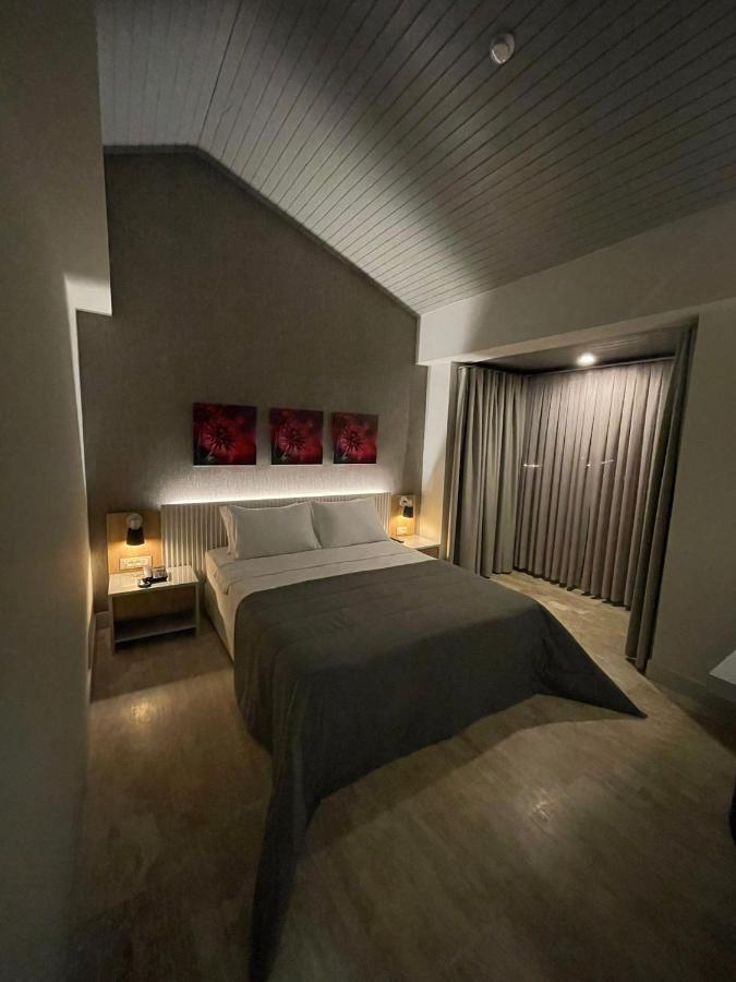 Ariel Hotel 阿拉恰特 外观 照片